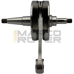 Albero Motore ELLEZETA PX GP C60 B126 - Largeframe