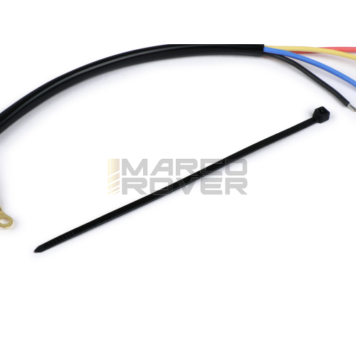 Wiring for Vespa ET3 6V stator plate - with ring terminals