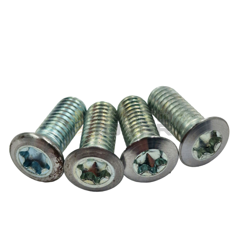 Kit 4 viti torx per revisione parastrappi campana BFA - FRT