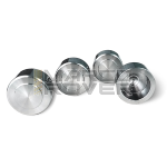 Ground stainless steel plungers for 8.1 and Formula radial caliper.