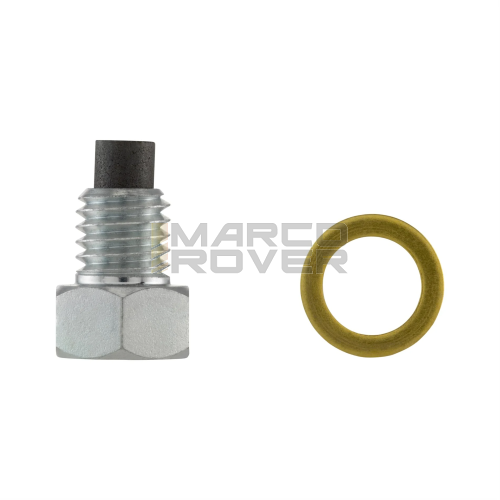 Vite carico scarico olio magnetica M8x8 mm, esagonale, SIP