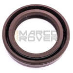 PARAOLIO 25X32X6 VITON per albero vespa ets DRT 